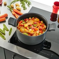 Tefal Titanium Fusion Induction Stewpot 20cm / 3L